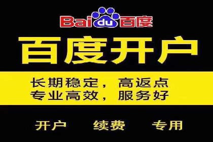某企业通过百度广告实现品牌提升的历程